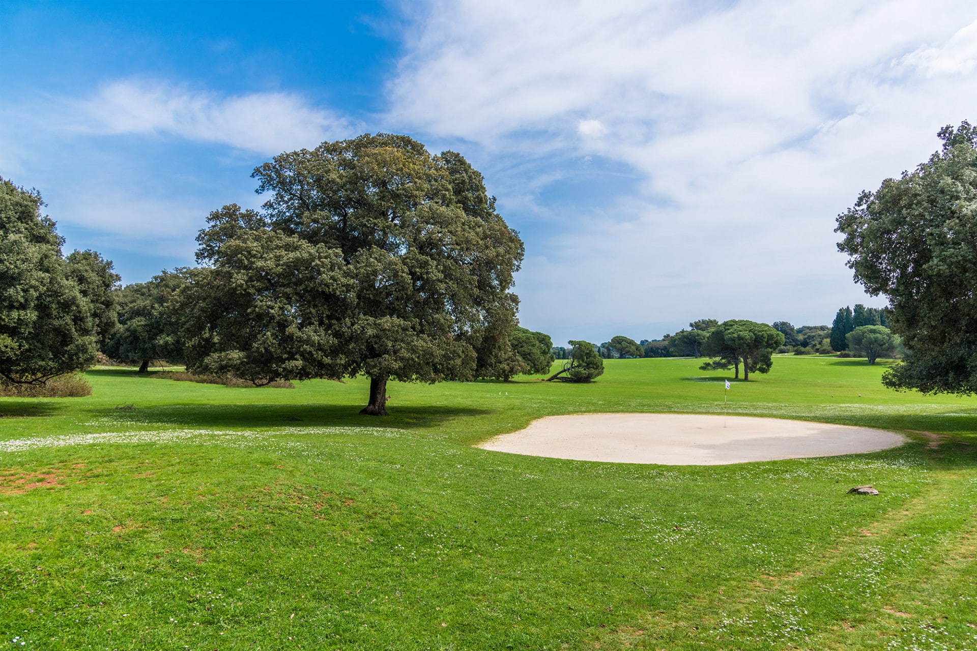 Golf Course Brijuni