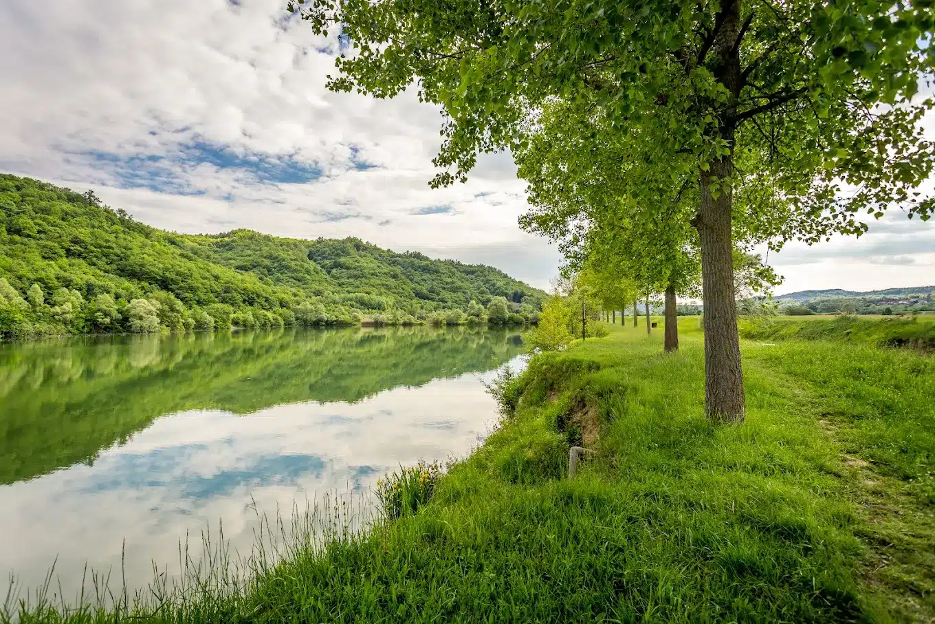 Freshwater Fishing